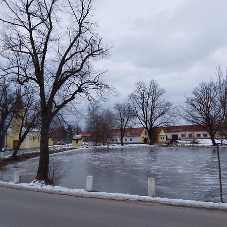 Ubytovani U Dvoraku Veselí nad Lužnicí エクステリア 写真